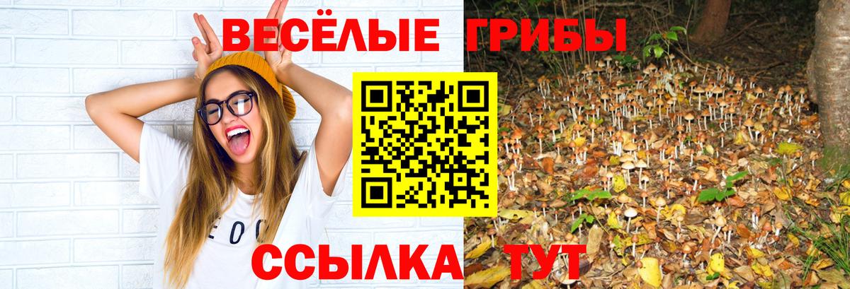 Урай  где найти наркотики  Вход с VPN  Псилоцибиновые грибы мицелий 